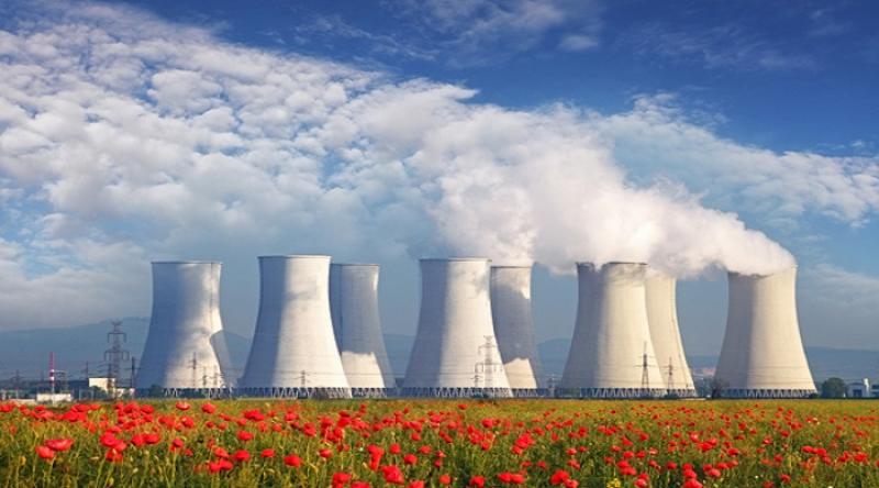 Nuclear Plant Life Extension