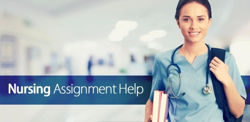 Assignment expert