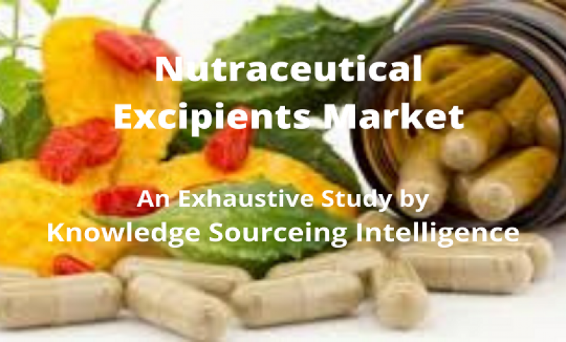 Nutraceutical Excipients Market 