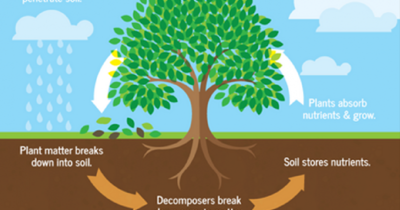 Nutrient Recycling Market