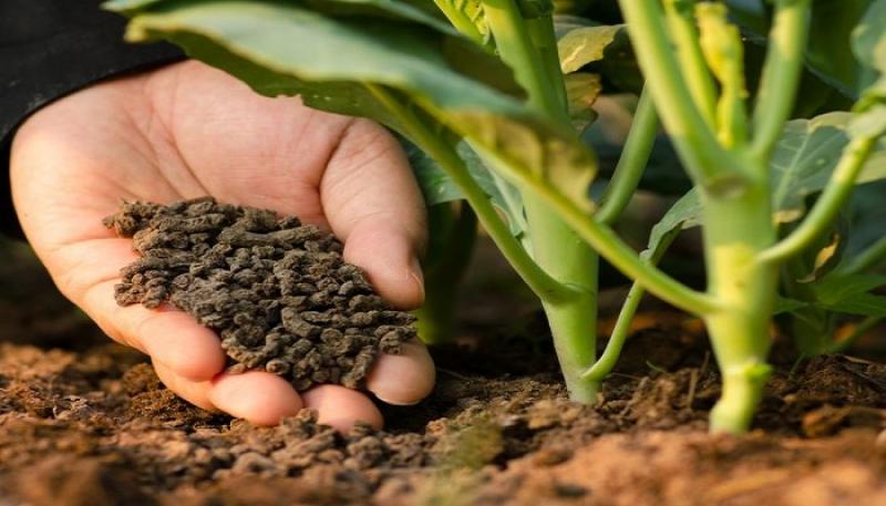 Nutrients and Micronutrient Fertilizers 