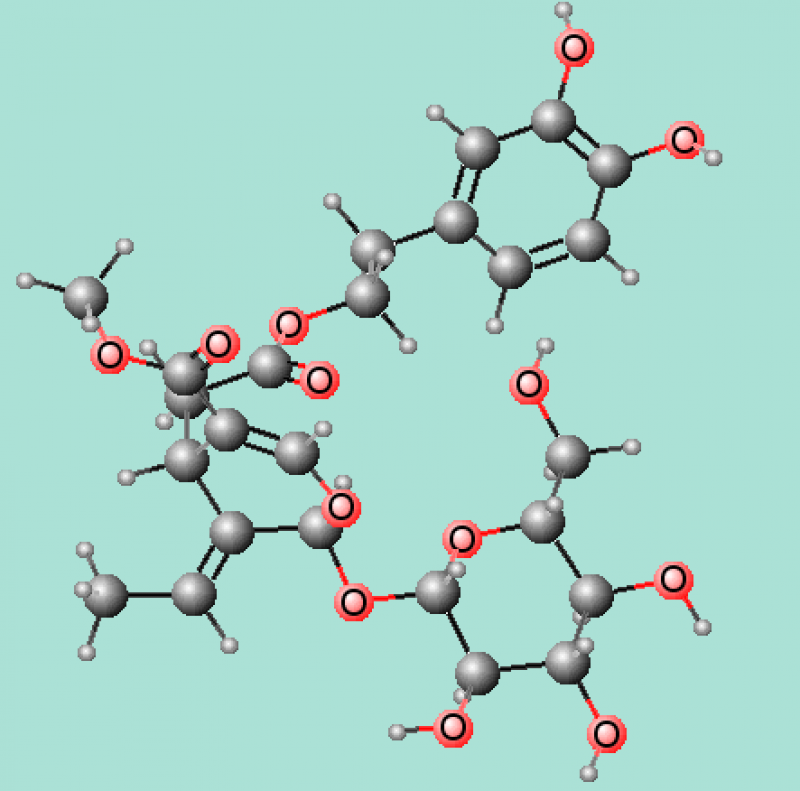 Oleuropein (CAS 32619-42-4) , Oleuropein (CAS 32619-42-4) Market, Oleuropein (CAS 32619-42-4) Market Growth, Presses Release, Oleuropein (CAS 32619-42-4) Manufacturers, Oleuropein (CAS 32619-42-4) Status, Oleuropein (CAS 32619-42-4) Market Size, Oleuropein (CAS 32619-42-4) Dec 2013, News Release, Oleuropein (CAS 32619-42-4) Structure, Oleuropein (CAS 32619-42-4) Prospectus, Oleuropein (CAS 32619-42-4) Industry Trends, Oleuropein (CAS 32619-42-4) Market Growth, Oleuropein (CAS 32619-42-4) Market Analysis, Ol