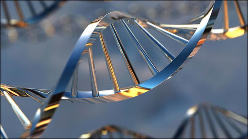 Oligonucleotide pool Market