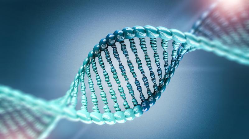 Oligonucleotide Synthesis Market
