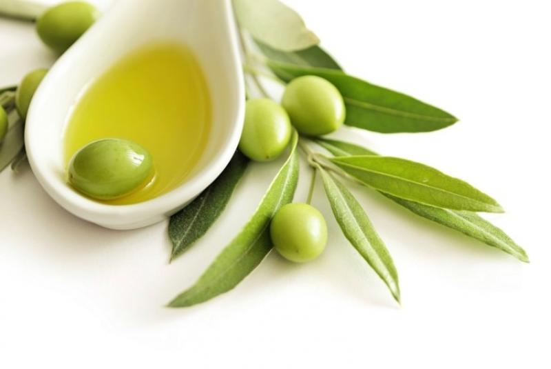 Olive Leaf Extract Market 2019 Segmentation and Analysis by Recent Trends, Development and Growth Olive Leaf Extract, Olive Leaf Extract Market, Olive Leaf Extract Market Growth