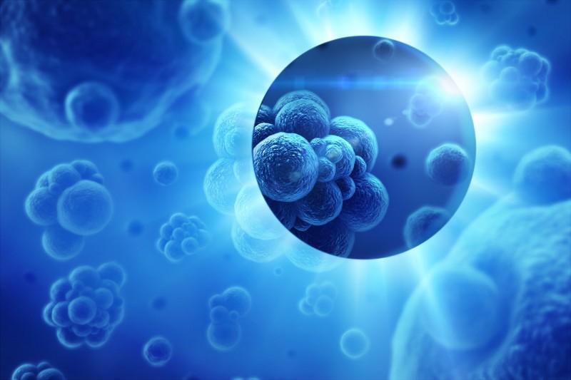 Oncology Information System 