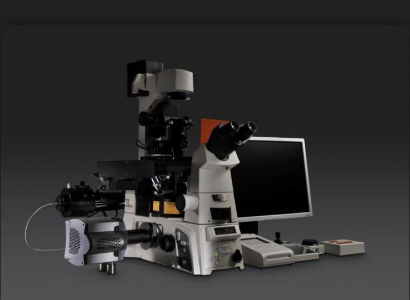 Optical Microscopes Market