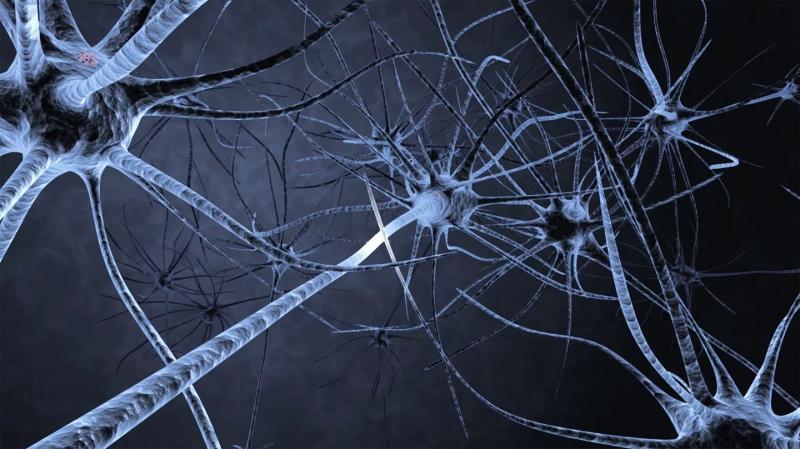 Optogenetics Market 