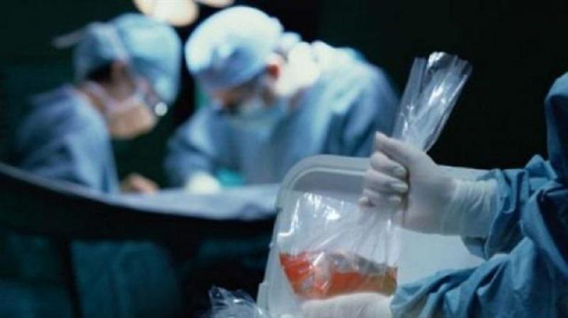 Organ Preservation Market