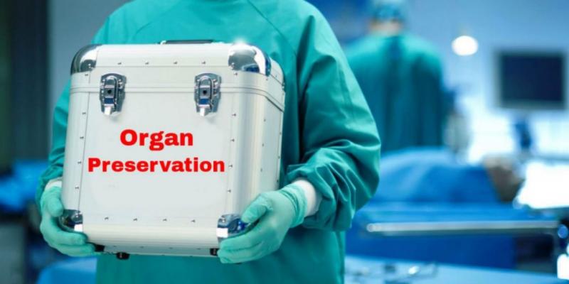 Organ Preservation Market