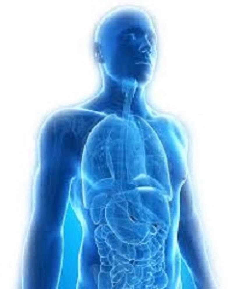 Organ Preservation Solutions 