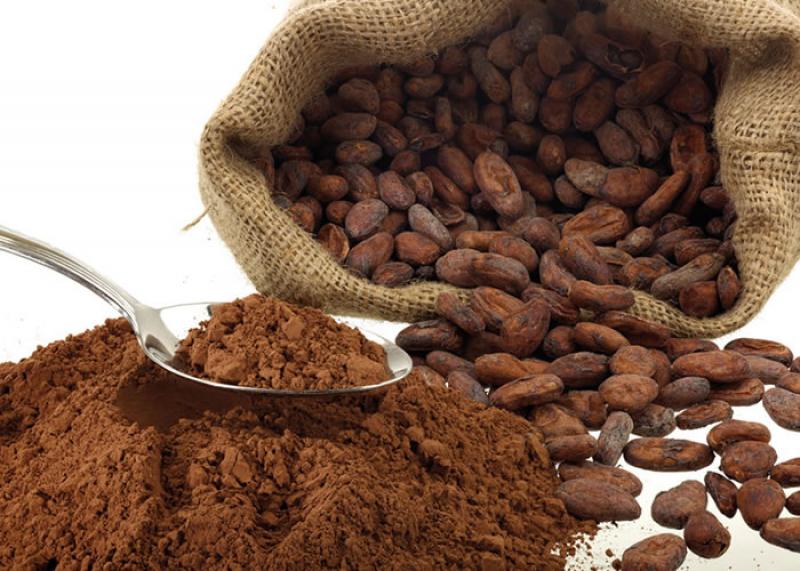 Organic Cocoa, Organic Cocoa Market, Organic Cocoa Market Growth