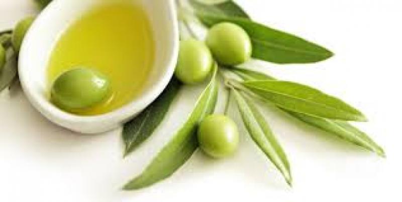 Organic Olive Oil 