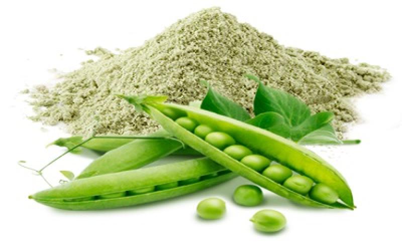 Organic Pea Protein