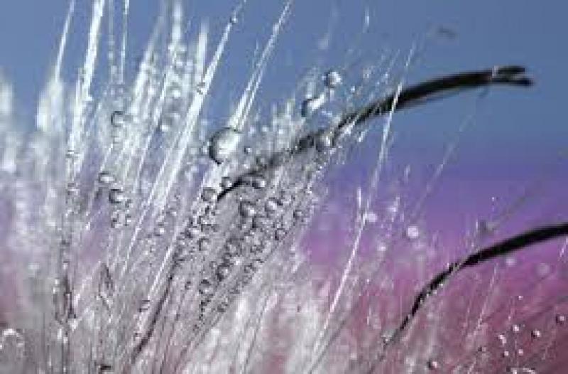 Organic-inorganic Hybrid Resin, Organic-inorganic Hybrid Resin Market, Organic-inorganic Hybrid Resin Market Growth