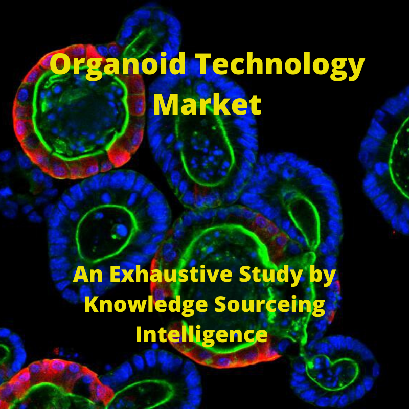 Organoid Market