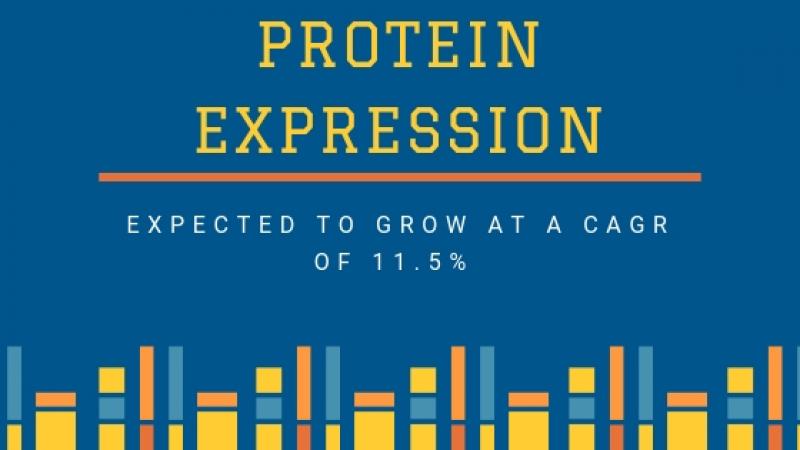 Protein Expression Market