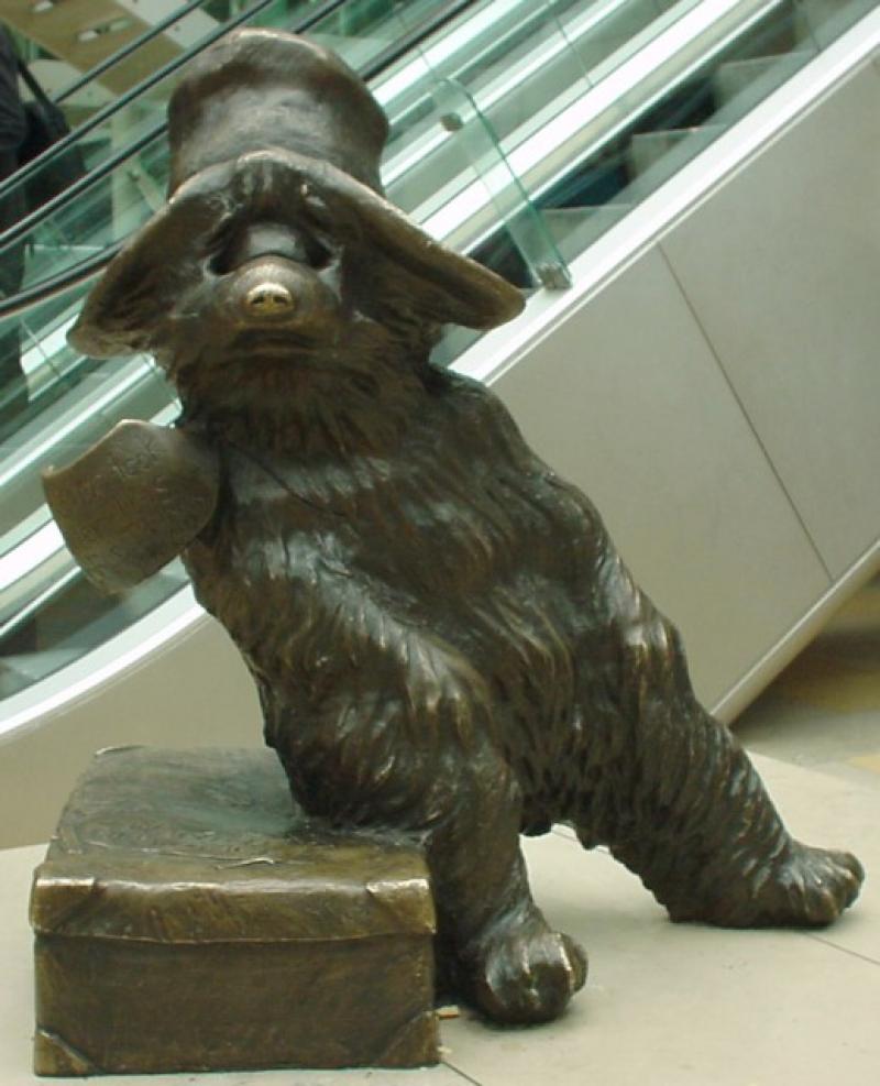 paddington bear