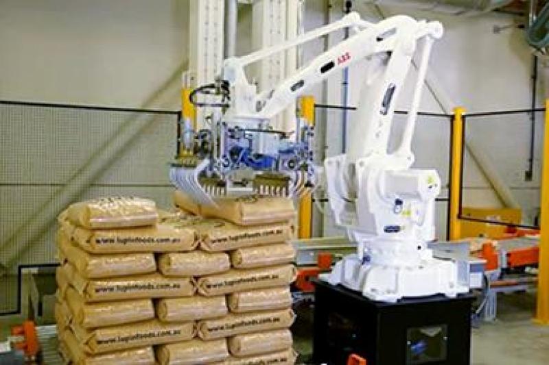 Palletizing Robots