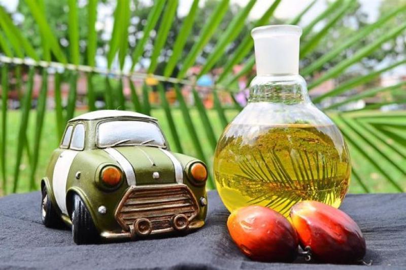 Palm Methyl Ester Biodiesel Industry