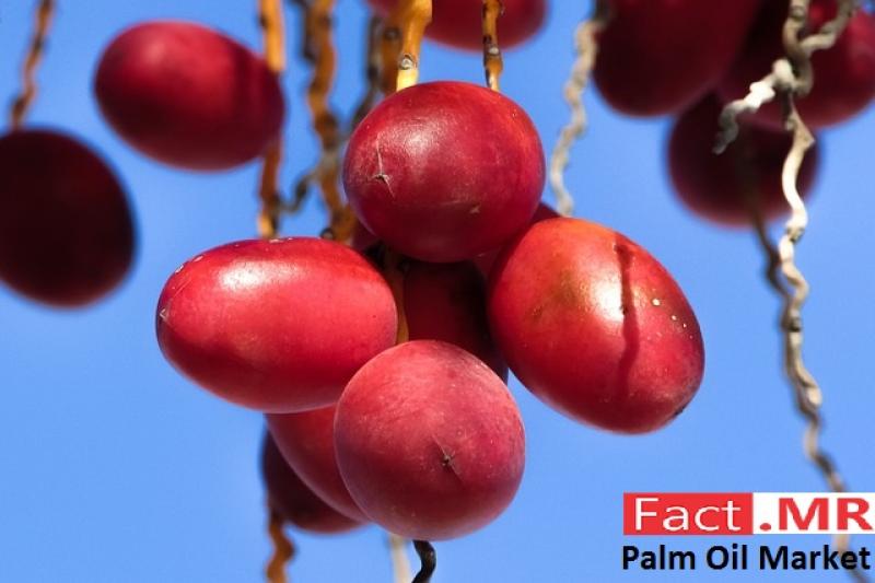 Palm Oil Market- Fact.MR