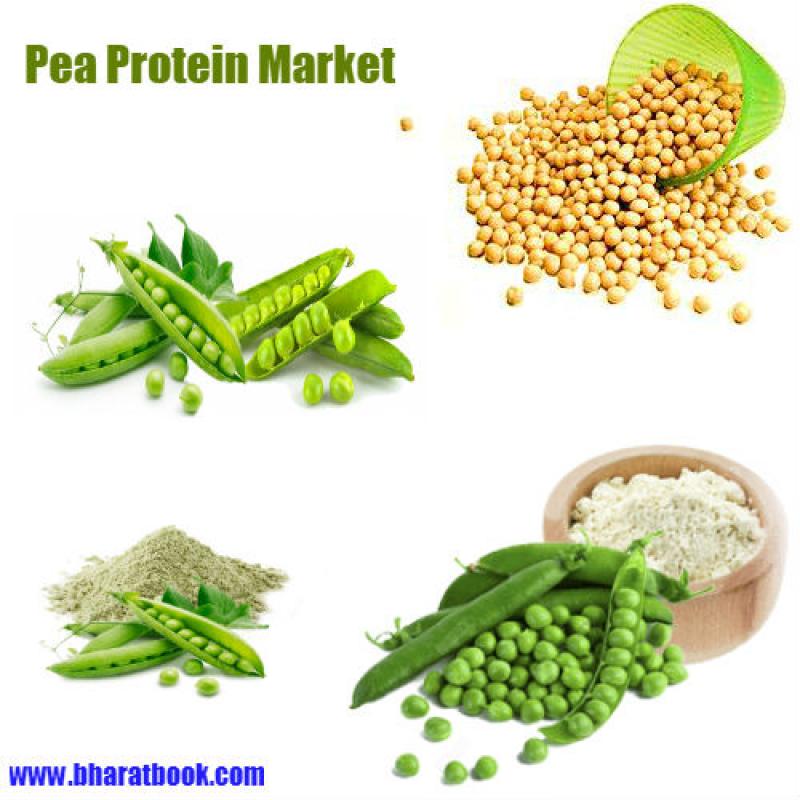 Global Pea Protein Market : Scenario, Size, Outlook, Trend and Forecast 2023
