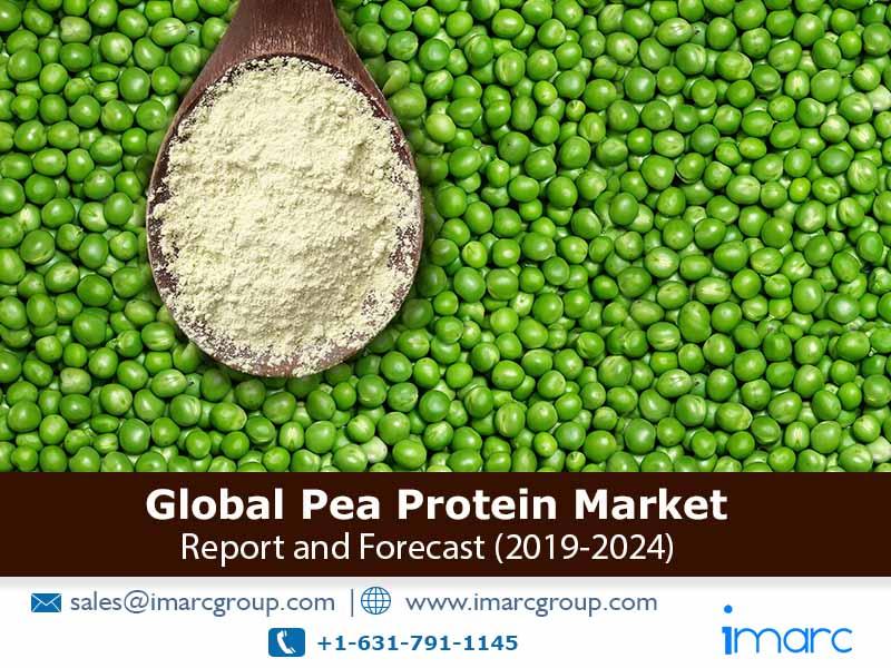 Global Pea Protein Market
