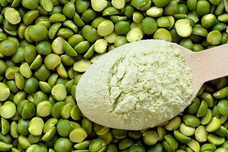 pea protein market