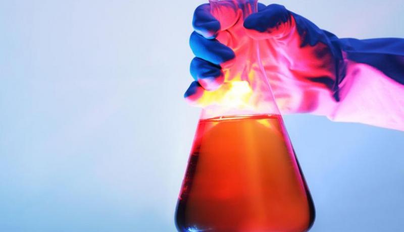 Pelargonic Acid Market