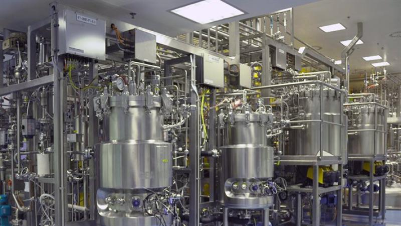 Perfusion Bioreactors