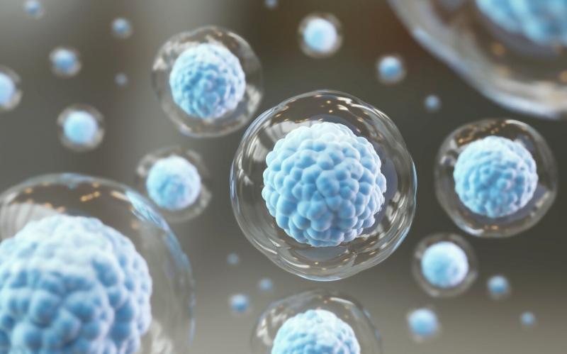 Personalized Cell Therapy Market