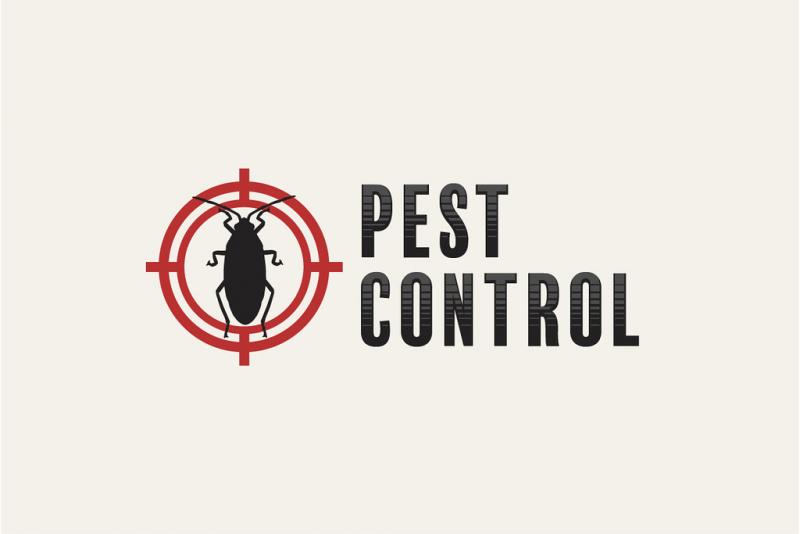 There are a lot of pest control methods that are available in the market. Usually, pesticide are used to get rid of these pests. To remove different pests you will need different pesticides.