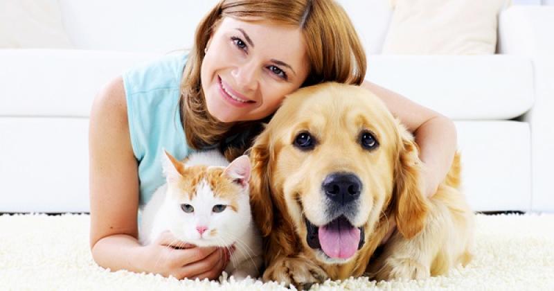 Pet Care 