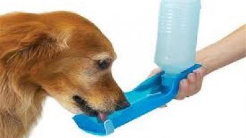 Pet Healthcare Product market by players/brands, region, type and application Pet Healthcare Product