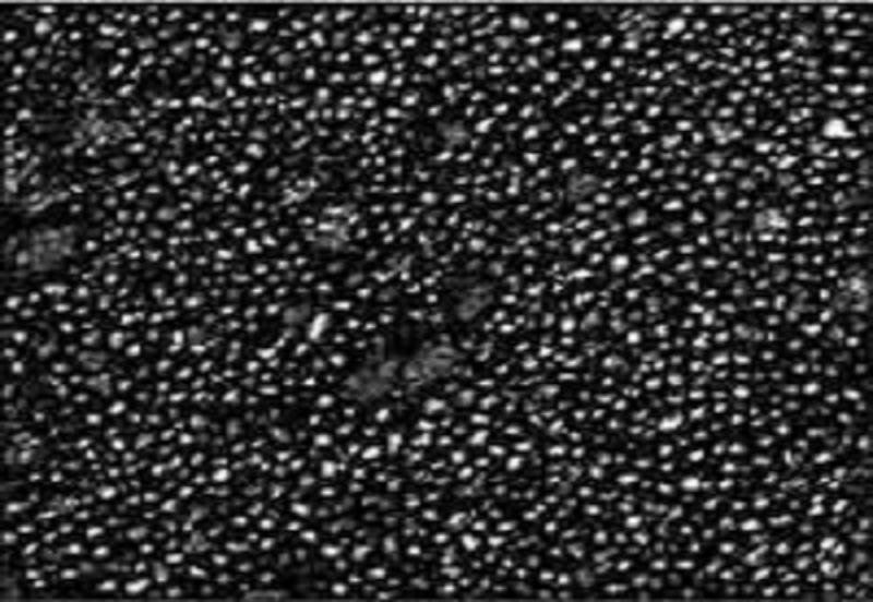 Petroleum Coke (Petcoke) 