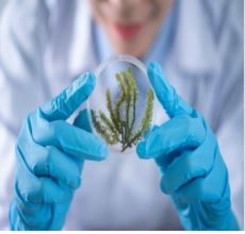 Pharma Microbiology Testing Kits Market Share, Restraints, Segments And Regions