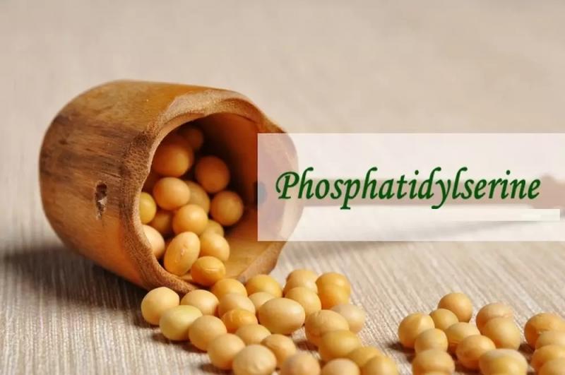 Phosphatidylserine Market 