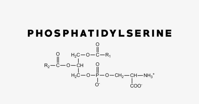 Phosphatidylserine Market 