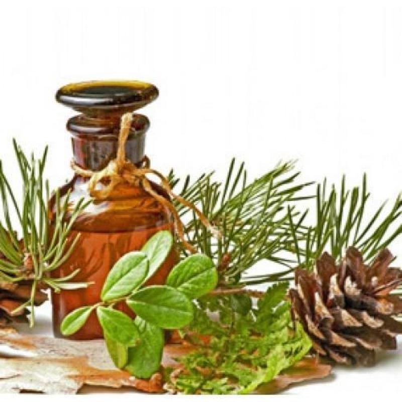 Pine Oil Industry