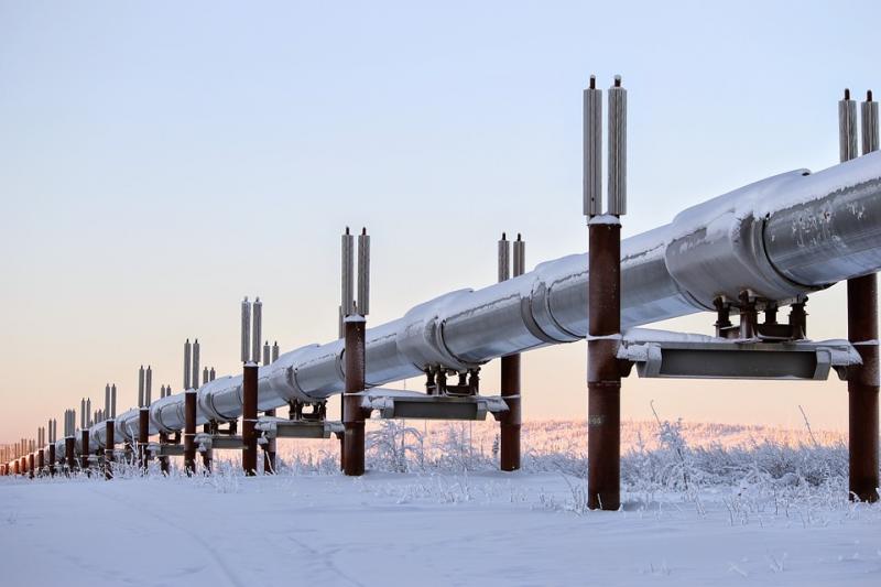 Pipeline Transportation Market Share, Restraints, Segments And Regions