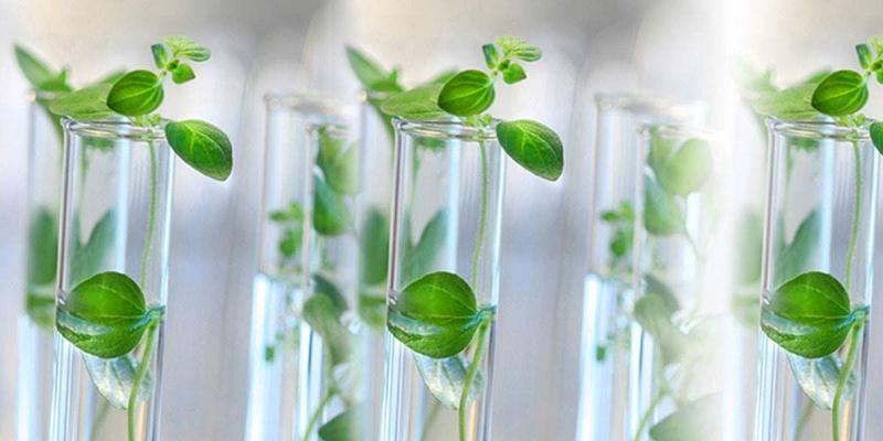Plant Tissue Analysis Market