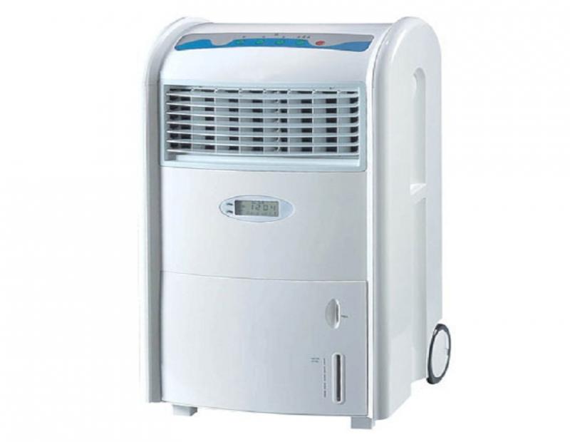  Portable Coolers