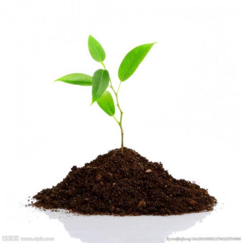 Potassium carbonate Industry