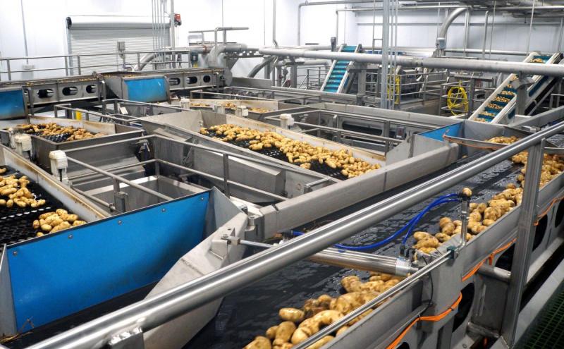 Potato Processing, Potato Processing Market, Potato Processing Market Growth