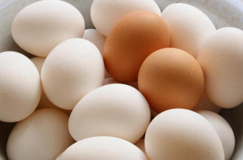 Poultry Eggs Market 