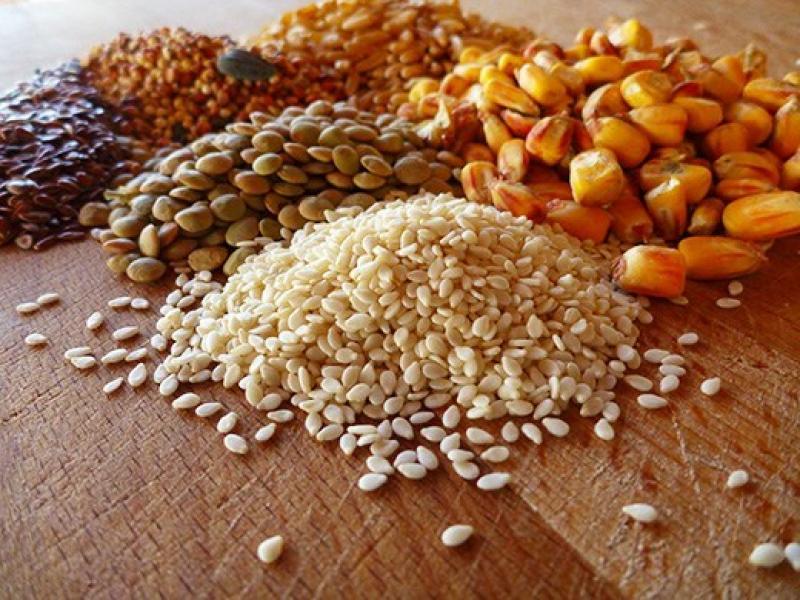 Poultry Feed Ingredients, Poultry Feed Ingredients Market, Poultry Feed Ingredients Market Growth
