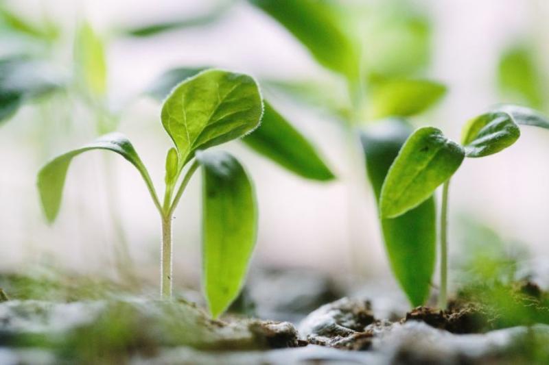 Precision Farming Industry