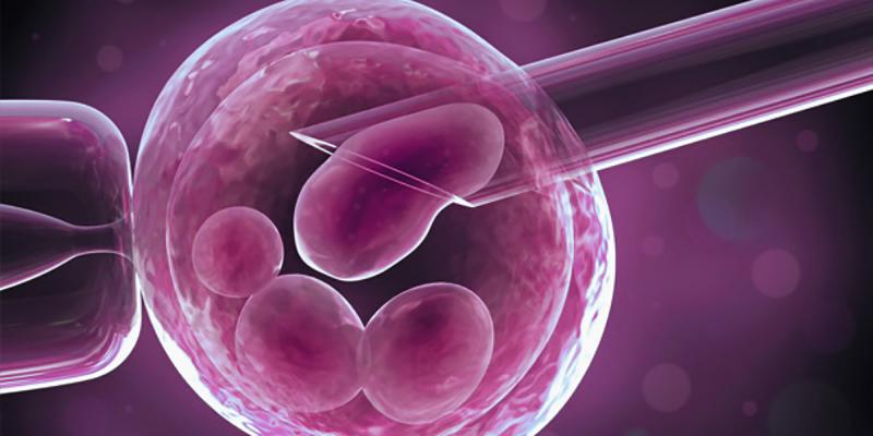 Preimplantation Genetic Diagnosis Market Preimplantation Genetic Diagnosis Market