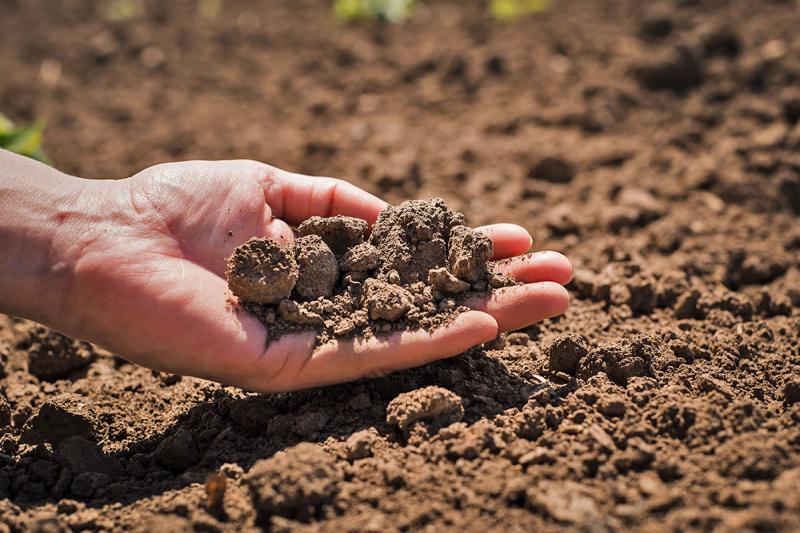 Premium Potting Soils Market