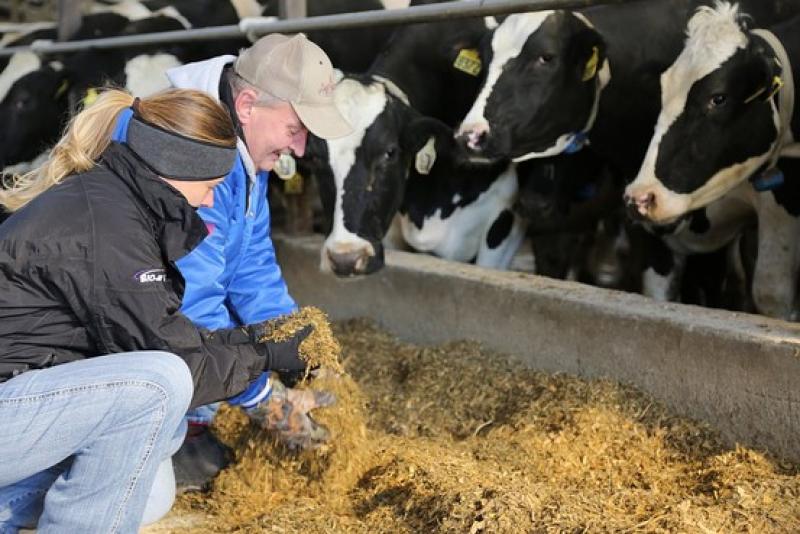 Probiotics in Feed Market